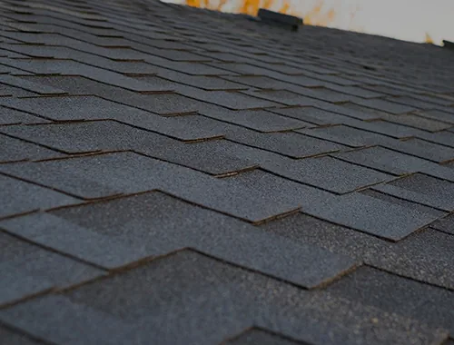 Trust the Professionals with Your Roof